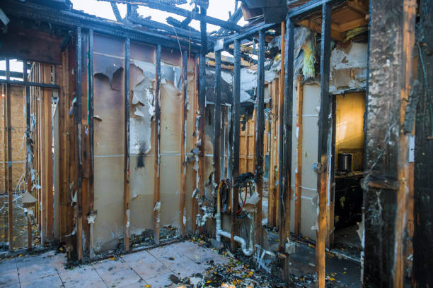 Professional Structural Rebuild technician working in Montgomery Village, MD